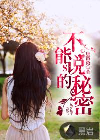 不能说的秘密简谱钢琴