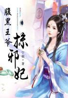 腹黑王爷狂宠小王妃