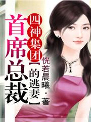 四神集团1首席总裁的逃妻 番外