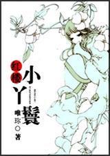 红楼题材的丫鬟