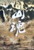 山魂 梁斌 徐成林 在线看