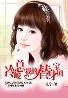 冷酷总裁替身妻txt