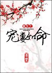 重生之宠妻如命by算尽机关txt