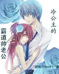 冷公主的爱情