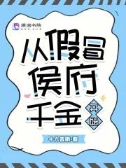 进宝京华录 简介