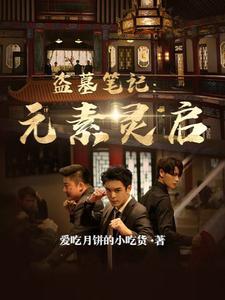 新盗墓笔记启灵副本