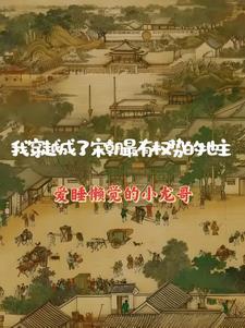 我成了宋仁宗的儿子