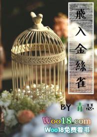 飞入金丝雀阅读