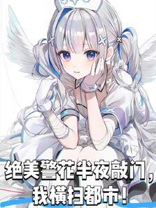 绝美警花半夜敲门我横扫都市
