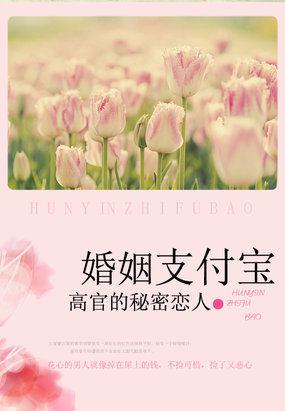 高官的恋情