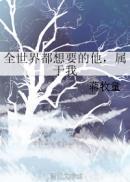 全世界都想要的他属于我TXT