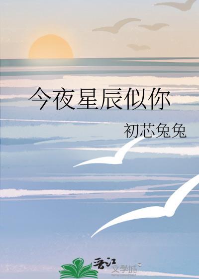 今夜星辰似你短剧免费观看完整版