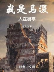 我是马谡人在街亭零点看书