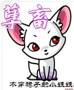 江湖草莽周定渊突然答应朝廷招安