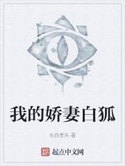 我的娇妻全文免费阅读理解