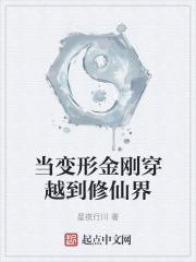 当变形金刚穿越到修仙界